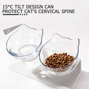 Double Cat Bowls, Raised Pet Tilted Stand Food Water Feeder Bowls for Kitten Cat