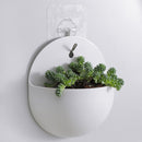 Plant Hanger Flower Pot Wall Hanging Bonsai Planter Garden Home Decor (B) Newly