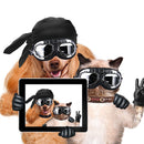 Foldable Dog Glasses UV Protect Goggles Eye Wear Sunglasses (Transparent) Newly