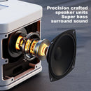 100W Portable Professional Karaoke Dual Microphone Wireless Stereo Bass Spe