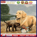 DIY Oil Painting By Numbers Animal Dog Hand Painted Canvas Color Drawing Pi