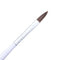 Detailing Nail Art Brush Set Dotting Drawing Carving Nail Liner Painting Pen