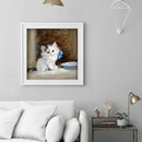 Hand Painted on Canvas DIY Cute White Cat Oil Paint By Numbers Drawing Kit Craft