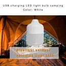 USB Rechargeable LED Lamp Bulbs Emergency Light Portable Hook Up Camping Bulb&