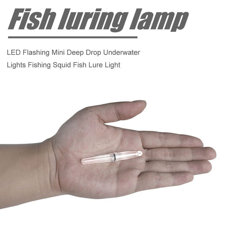 Fishing Light Underwater Fish Attracting Indicator Lure LED Fishing Flash L