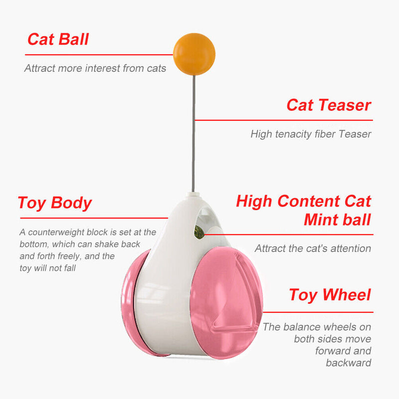#A Funny Balance Car Wear-resistant Interactive Game Creative for Home Pet Suppl