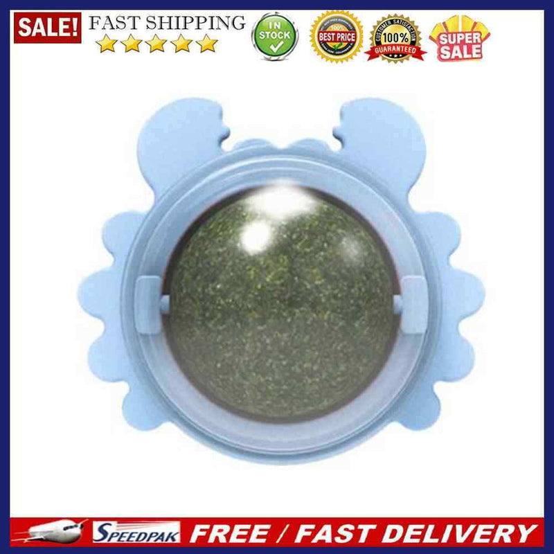 Rotatable Cat Treat Toys with Catnip Pet Snacks Kitten Molar Interactive Ba