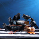 Artificial Crow Black Bird Raven Halloween Decor Prop Haunted Spooky Realistic`