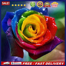 5D DIY Full Drill Diamond Painting Colorful Flower Cross Stitch Mosaic Kit