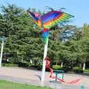 Rainbow Color Flying Parrot Kite with String Handle for Family Fun Outdoor Toys