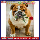 Full Round Drill Diamond Painting 5D DIY Dog Rhinestone Wall Art Animal Mosai