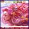Coral Girl Oil Paint By Numbers Kit Canvas Coloring Drawing Home Decoration G