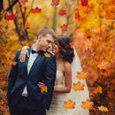 50pcs Fall Silk Leaves Wedding Party Favor Autumn Maple Leaf Decoration Sets hot