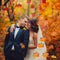 50pcs Fall Silk Leaves Wedding Party Favor Autumn Maple Leaf Decoration Sets hot