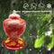 Plastic Bird Water Feeder Bottle Hanging Flower Hummingbird Feeder (Red)