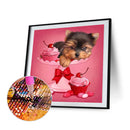 5D Diamond Painting Kit Puppy Full Round Drill Rhinestone DIY Wall Crafts