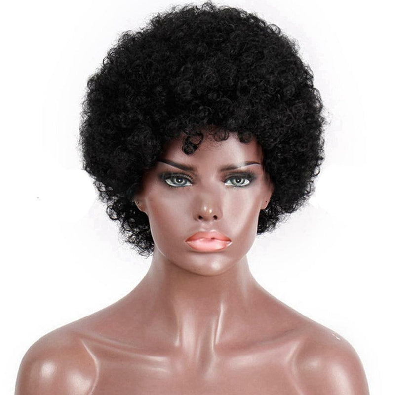 Short Afro Kinky Curly Human Hair Wigs Remy Brazilian Cheap Wigs for Black Women