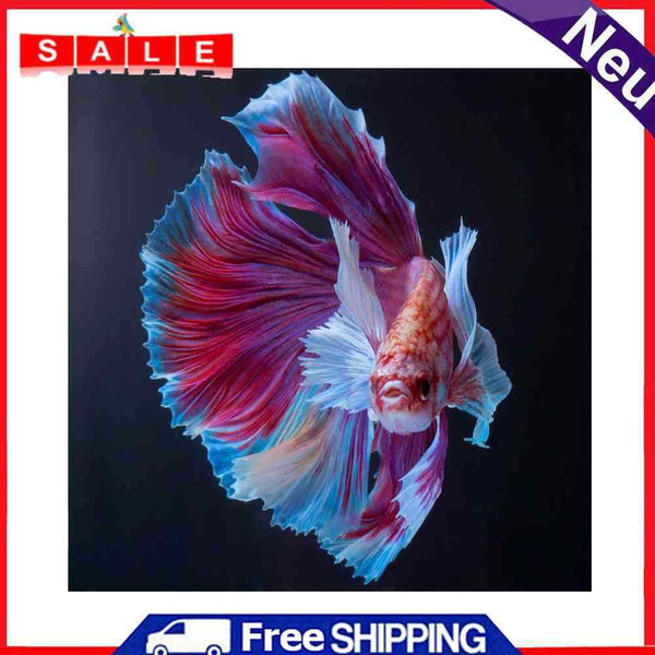 Diamond Painting Betta Full Round Drill Picture of Rhinestone DIY Drawing Kit
