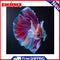 Diamond Painting Betta Full Round Drill Picture of Rhinestone DIY Drawing Kit