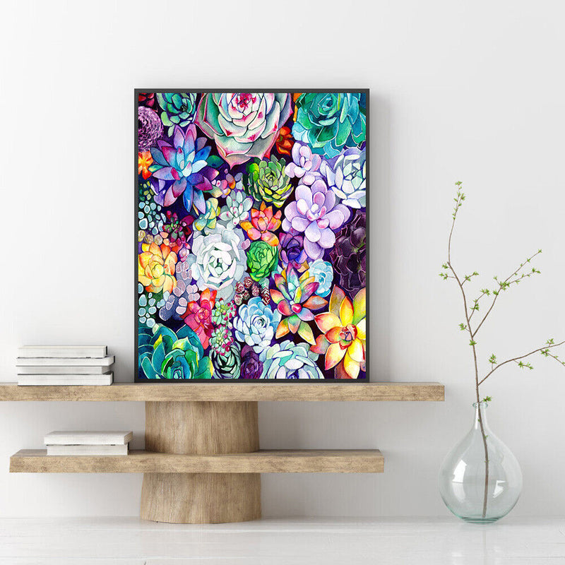 Succulents 40x50cm Oil Paint By Numbers Picture DIY Painting M682
