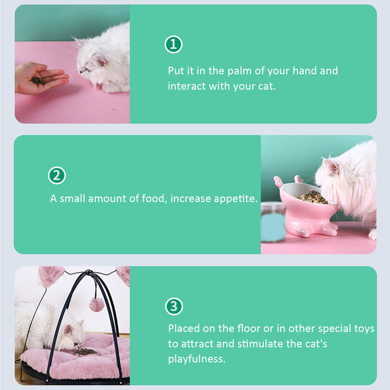 2g Catnip Bag for Cats, PE Bag Package, Catnip Herb for Catmint Toys Replacement