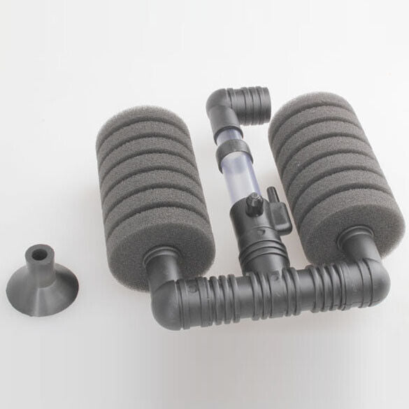 Practically Silent Sponge Filter Fish in the Aquarium Tank Biochemical Schwa