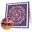 DIY Diamond Painting Kit Mandala Full Special Shape Crystal Drill (KA166) Newly