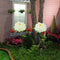 #A Solar Peony Flower Light Waterproof Lawn Landscape Lamps Garden Decoration