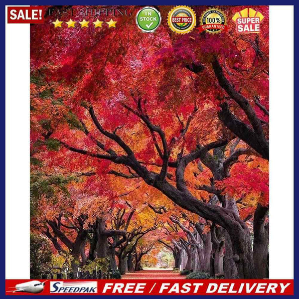 Path Scene Oil Paint by Numbers Hand Painted Frameless Picture Home Ornament