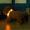 2.5cm LED Night Flashing Dog Pet Necklace Nylon Collar Leash(Yellow/XL)