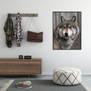 Painting By Numbers Kit DIY Gray Wolf Hand Painted Canvas Oil Wall Art Picture