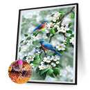 DIY Diamond Painting Kits Bird Full Round Drill Wall Decor Art Home Decoratio