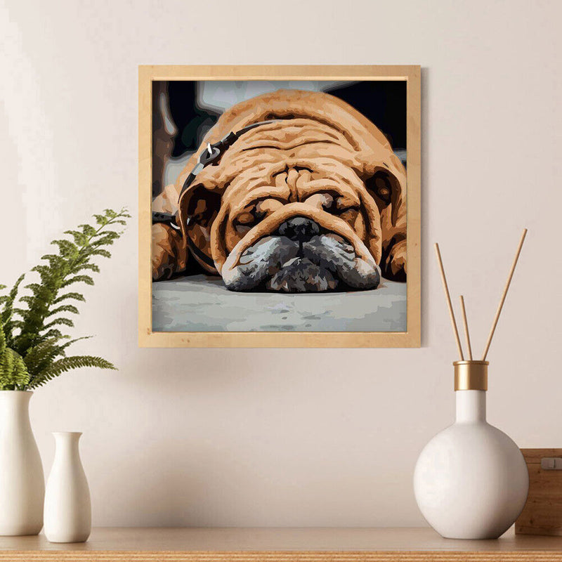 Hand Painted on Canvas DIY Sleeping Dog Oil Paint By Numbers Drawing Kit Cr