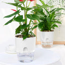Creative Self Watering Lazy Flowerpot Home Office Garden Decor for Festival Gift