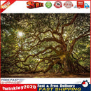 DIY Full Round Drill Diamond Drawing Tree Forest Landscape Painting Kit Newly