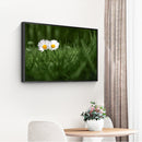 Painting By Numbers Oil Picture Artwork DIY Hand Painted Canvas Meadow Daisy Kit