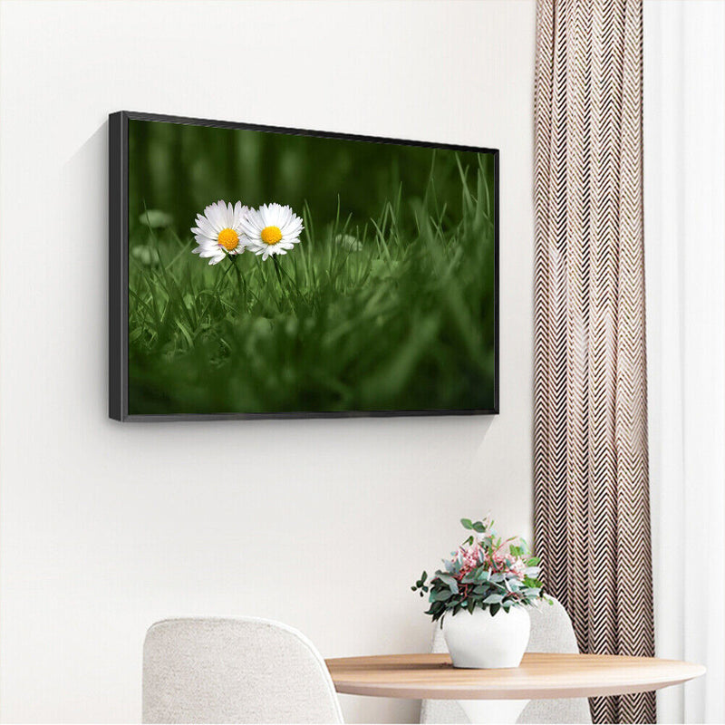 Painting By Numbers Oil Picture Artwork DIY Hand Painted Canvas Meadow Daisy Kit
