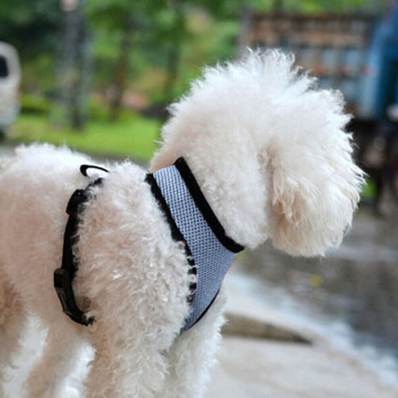 Reflective Chest Vest Breathable Cat Dog Collar Harness Chest Strap for Training