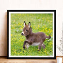5D DIY Diamond Painting Embroidery Donkey Full Round Drill Rhinestones Craf