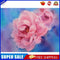 Pink Peony Oil Paint By Numbers DIY Handpainted on Canvas Wall Art Pictures