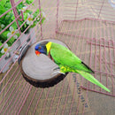 Small Parrot Bird Cage Stand Platform Perch Pet Wood Biting Stick (8-10cm)