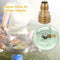 Brass Convert Propane LP TANK POL Service Valve to Quickly Adapters Refill C5X2