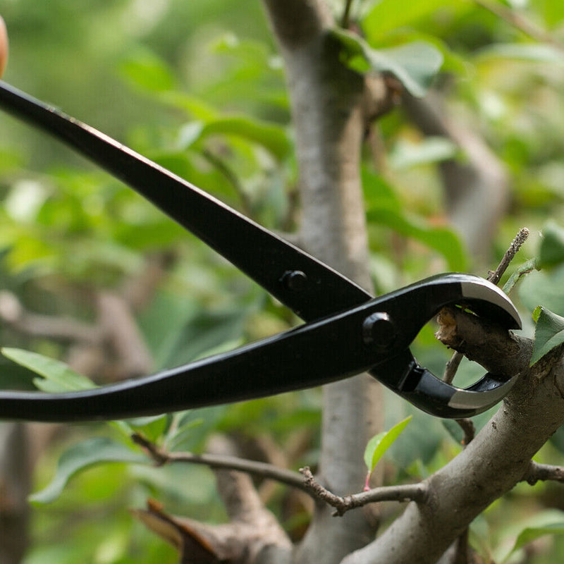 210mm Gardening Plant Branch Styling Maintenance Tools Round Nose Pruning P