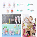 Bunny Gnome Spring Easter Swidish Tomte Dwarf Hanging Ornament 10 Pcs (3)