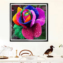 5D DIY Part Drill Diamond Painting Colorful Flower Cross Stitch Embroidery Newly