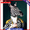 Zebra Gentleman Oil Paint By Numbers DIY Decoration Gift Wall Art Picture Craft