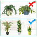 Spliceable Plant Climbing Rod Coconut Palm Pole Climbing Vine Garden Support