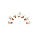 Colored Eyelashes Eyelash Extension Cluster Lashes Segment Premade Grafting