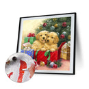 Cat and Puppy Frameless DIY Oil Paint by Numbers Kit Handpainted Art (S964)