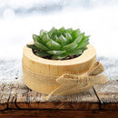 Succulent Plant Pot Handmade Wooden Ornaments Candle Holder Bonsai Container